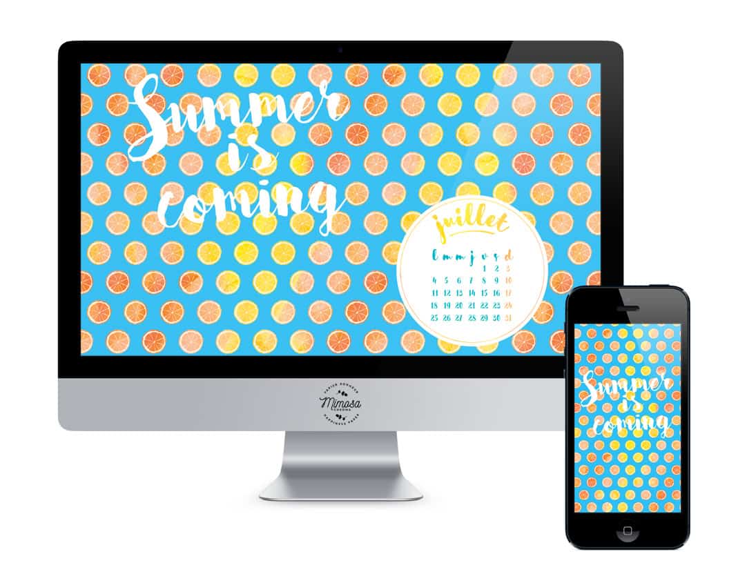 Calendrier de Juillet 2016 (Freebies & Printable) 6 Calendrier de juillet freebies et printables