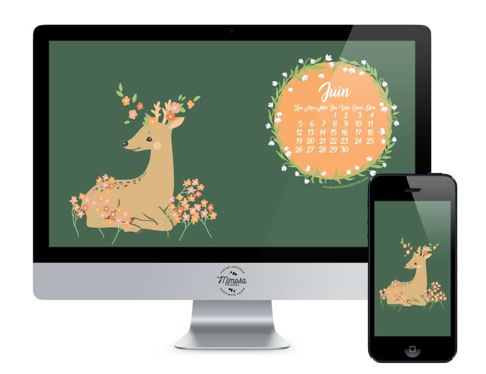 Calendrier de Juin 2017 (Freebies & Printable) 4 juin17 devices