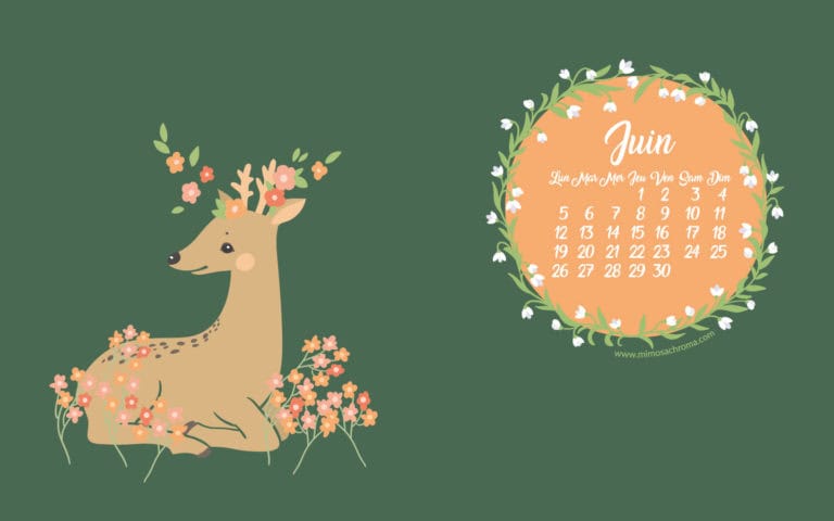 Calendrier de Juin 2017 (Freebies & Printable)