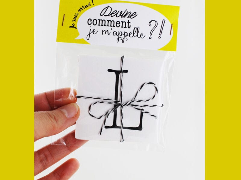 Faire-part de naissance - Collection accordéon