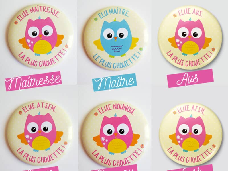 Magnet cadeau maitresse atsem nounou avs aesh