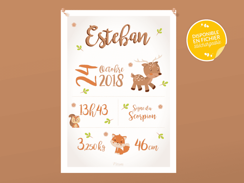 Affiche de naissance personnalisée pour chambre de bébé ou enfant – Cadeau de naissance, affiche Animaux d’Automne Affiche de naissance personnalisée pour chambre de bébé ou enfant - Cadeau de naissance, affiche Animaux d'Automne