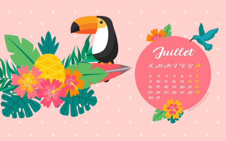Calendrier de juillet 2018 à télécharger