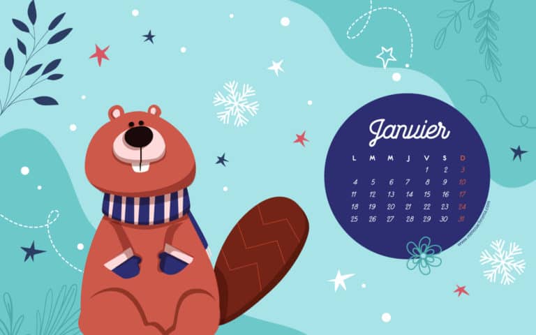 Calendrier de Janvier 2021 (Freebies & Printable)