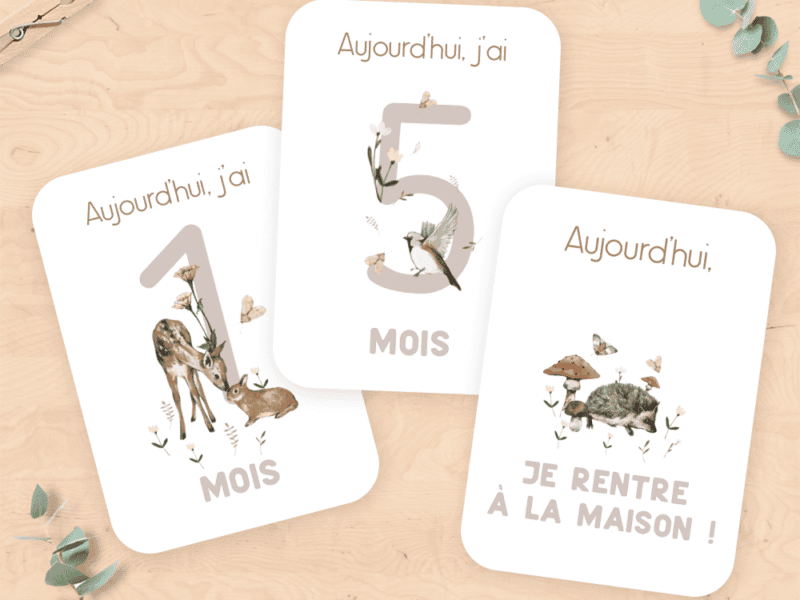 Cartes étapes de la vie de bébé - Cadeau de naissance, cadeau future maman, cadeau bébé