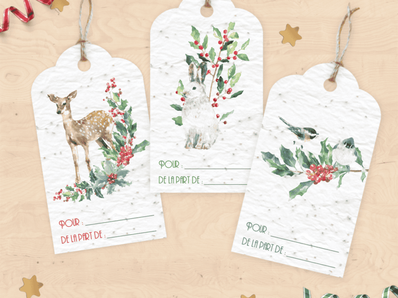 Lot de 6 étiquettes à planter pour cadeaux de noël