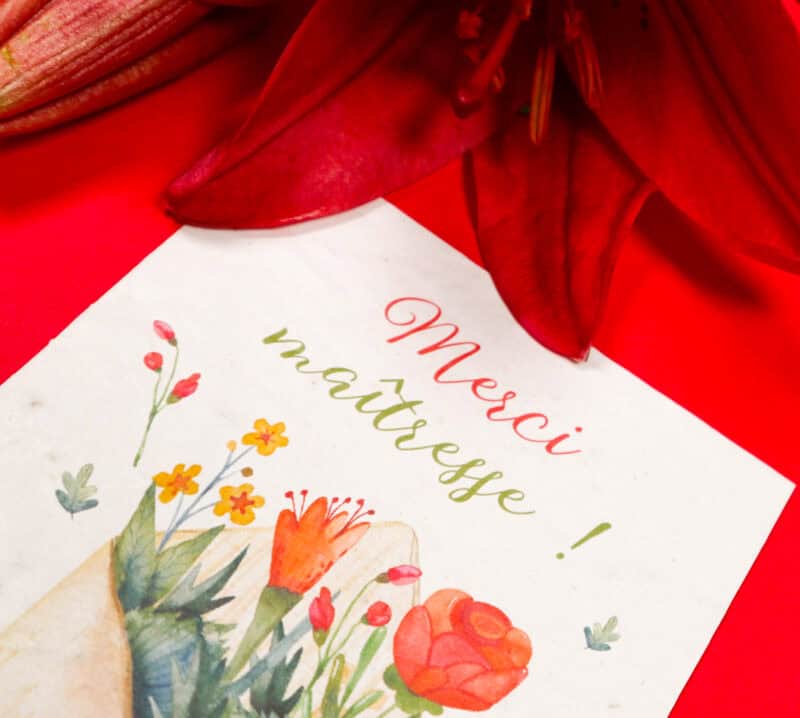 Carte à planter pour cadeau Maîtresse - merci maitresse !