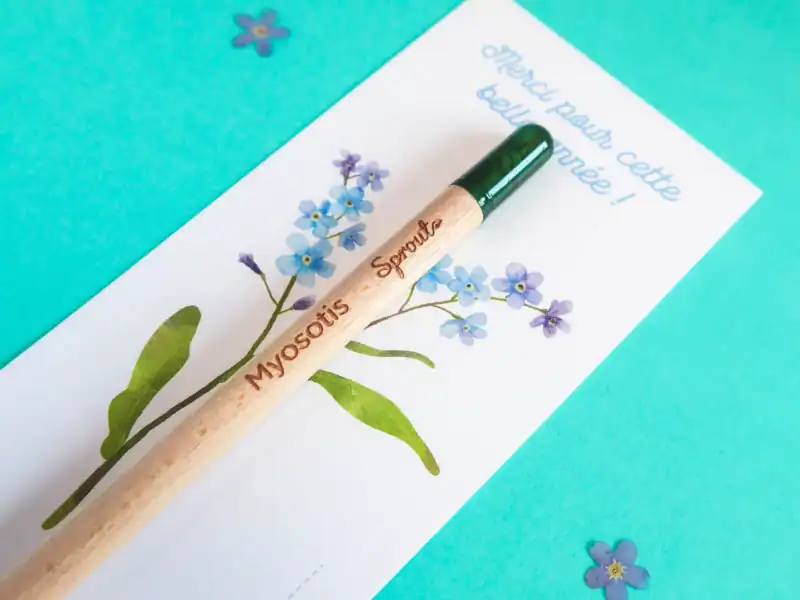 Crayon à planter Myosotis - Cadeau fin d’année scolaire maîtresse, ATSEM, nounou - Carte Merci fleurie à offrir
