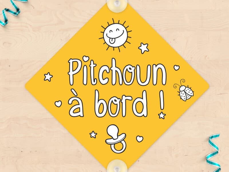 Plaque de voiture "Bébé à bord" personnalisée pour pitchoun et minots, expression du sud, panneau humoristique