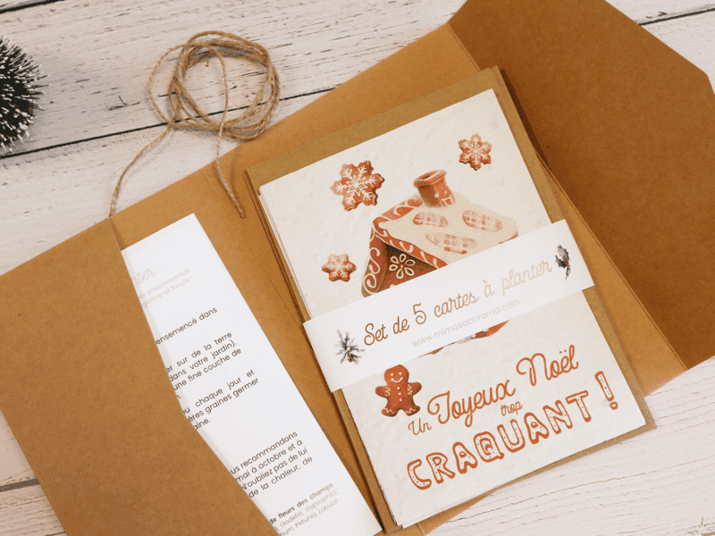 Lot de 5 cartes de vœux à planter - Bonne année 2025