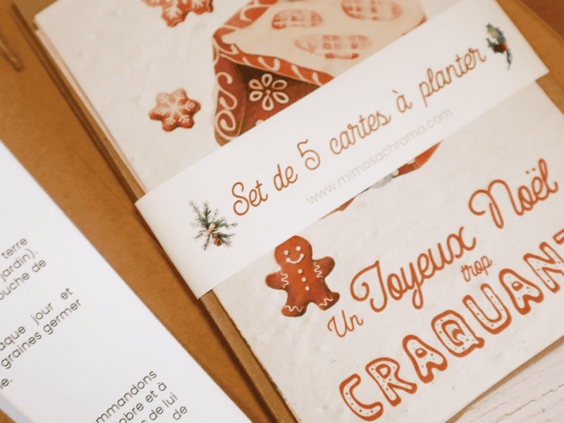 Lot de 5 cartes de vœux à planter - Bonne année 2025