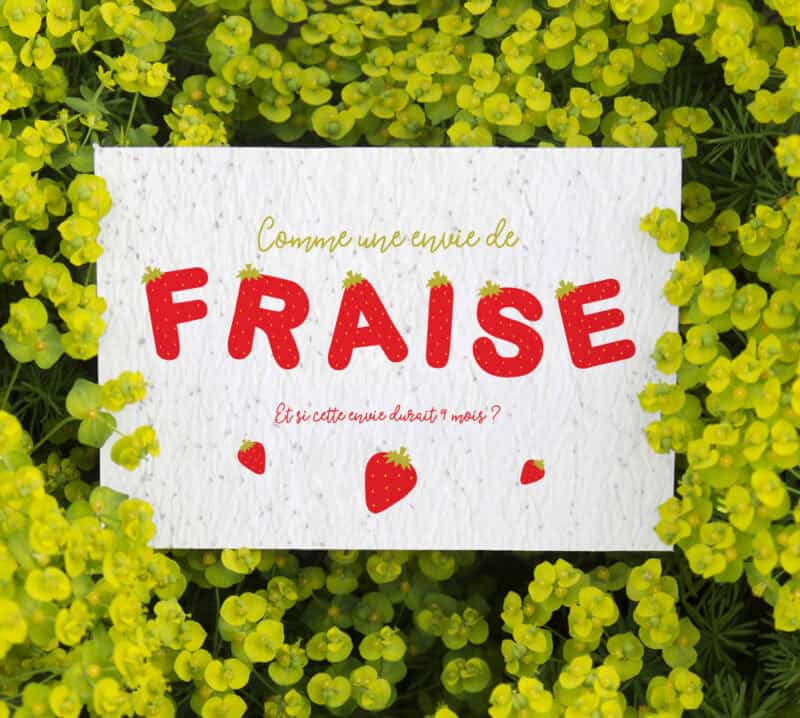 Carte à planter "Comme une envie de fraise" - annonce grossesse originale