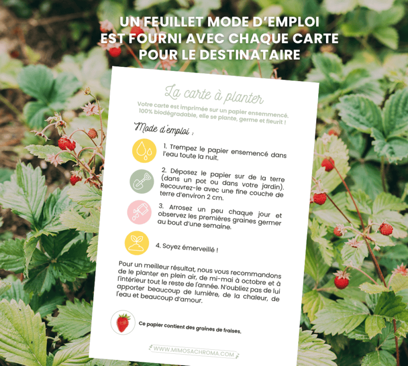Feuillet explicatif joint à chaque carte à planter avec graines