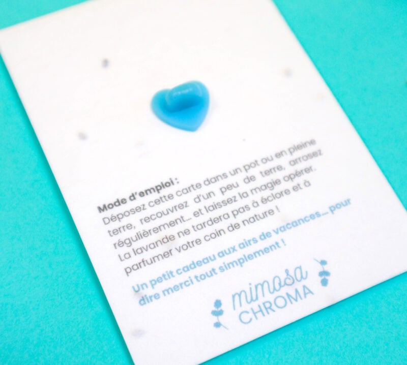 Carte à planter + Pin’s bois "Coquillage & Étoile de mer" - Cadeau fin d’année scolaire