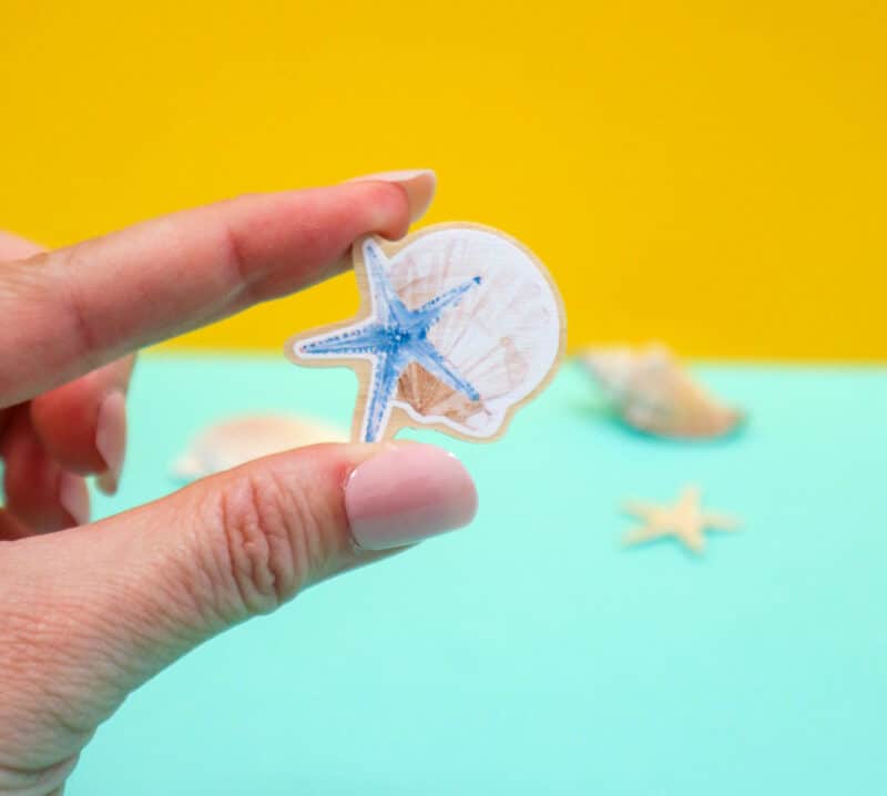 Carte à planter + Pin’s bois "Coquillage & Étoile de mer" - Cadeau fin d’année scolaire