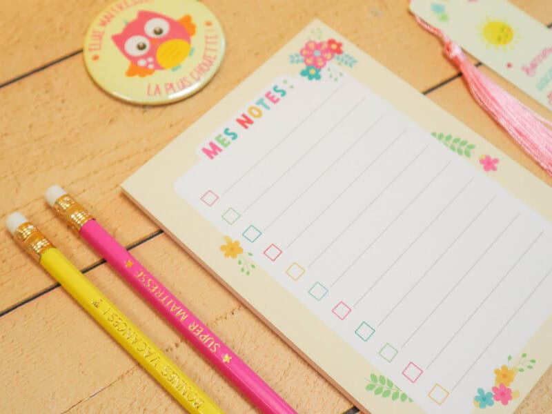 Coffret cadeau fin d'année scolaire Maîtresse, Maître, ATSEM, Nounou - Kit papeterie assorti - Bloc-notes, marque-page, magnet, crayons