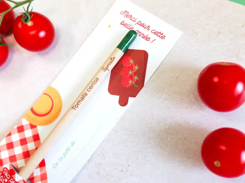 Crayon à planter “Tomate cerise” - Cadeau original fin d’année scolaire maîtresse/maître, ATSEM, nounou