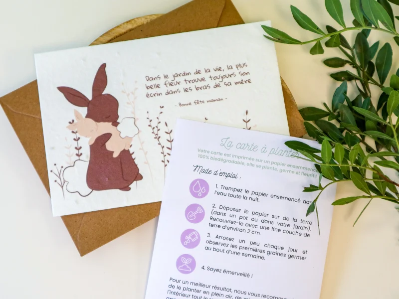 Carte à planter avec mode d’emploi de plantation et enveloppe kraft