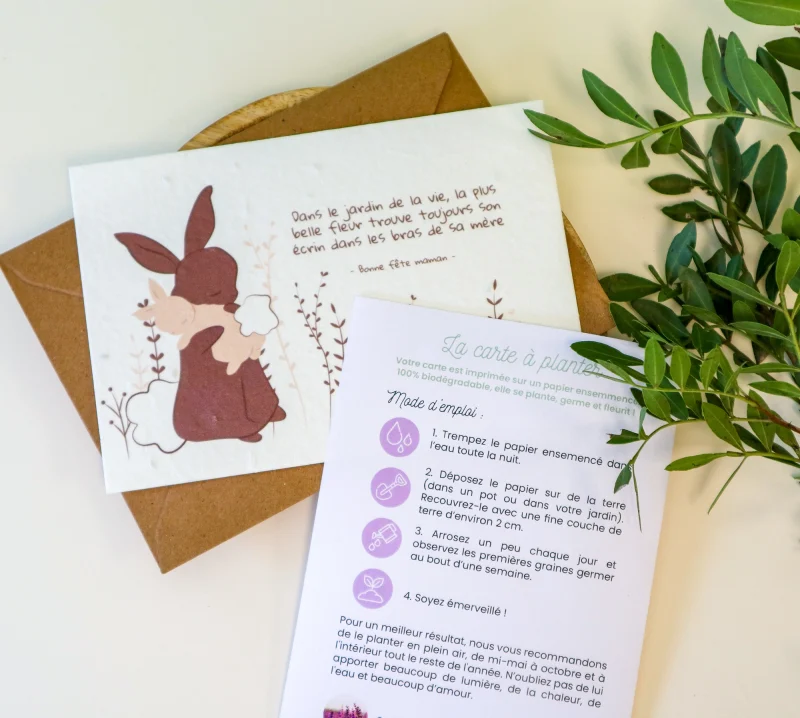 Carte à planter avec mode d’emploi de plantation et enveloppe kraft