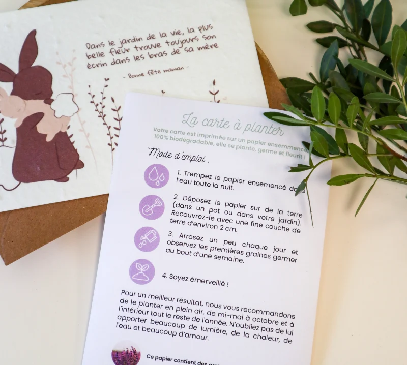 Instructions de plantation de la carte ensemencée Mimosa Chroma